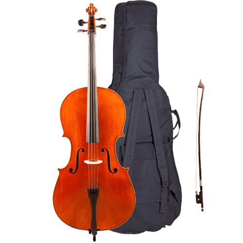 violin with cover and bow